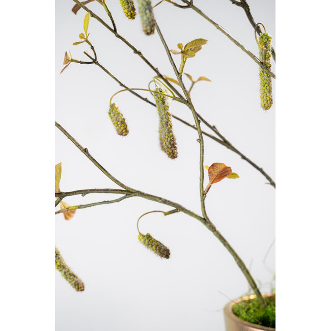 Silk-Ka ALNUS TAK GROEN 81 cm