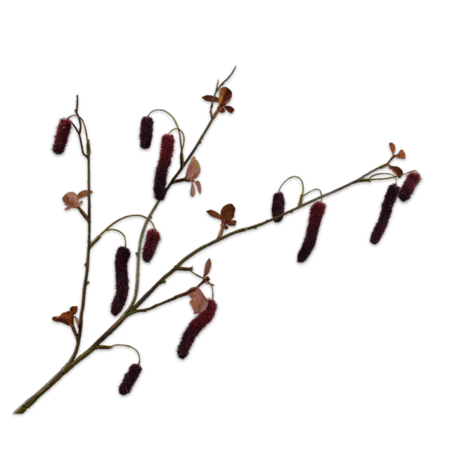 Silk-Ka ALNUS TAK BORDEAUX 81 cm