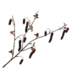 Silk-Ka ALNUS TAK BORDEAUX 81 cm