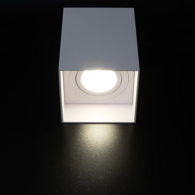 PURPL LED GU10 Ceiling Light Fixture Tilting Boston - White