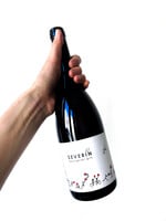 Josef Totter Severin // laatste stuks in winkel Gent