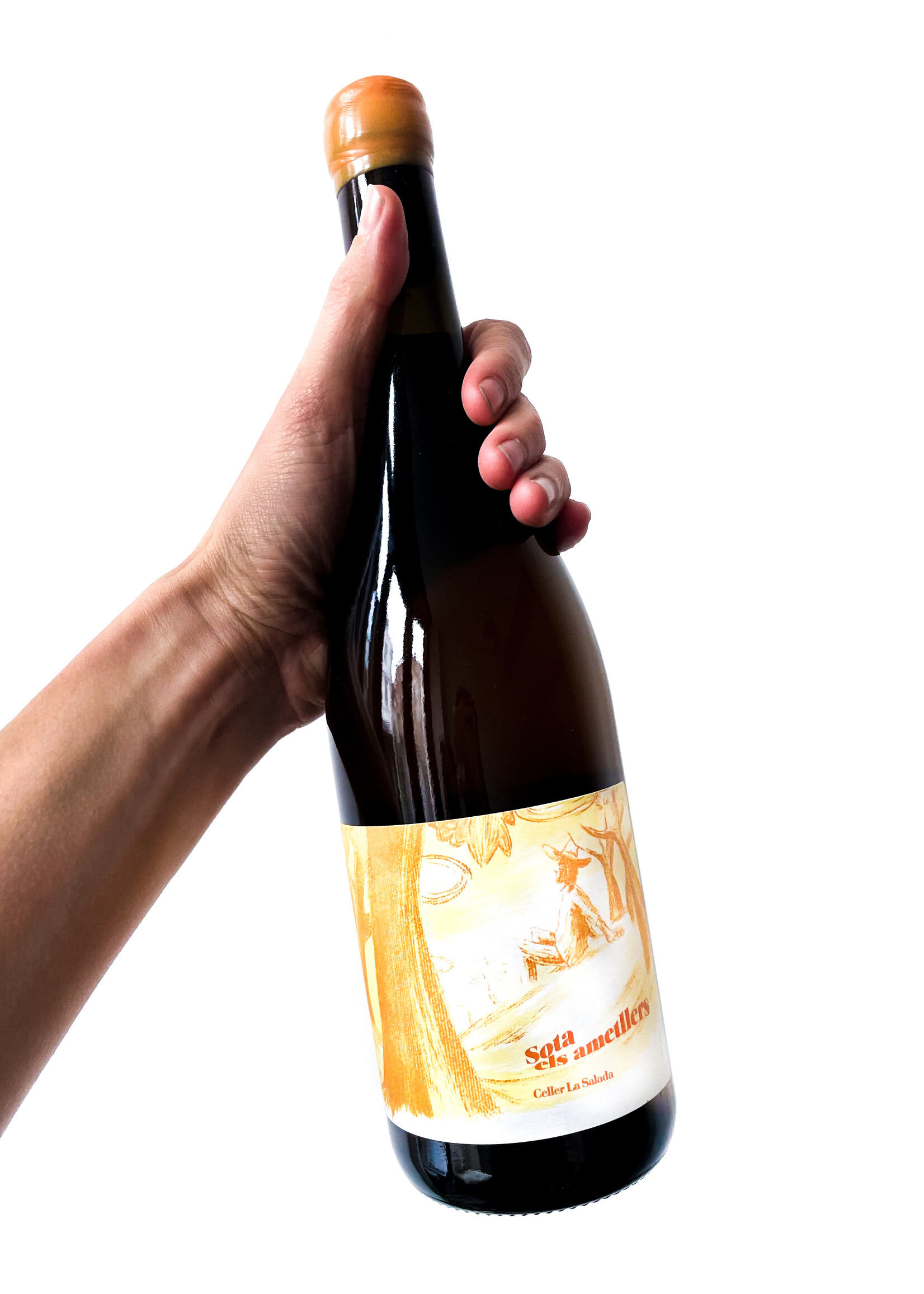 Celler La Salada Sota Els Ametllers - Celler La Salada - 2024