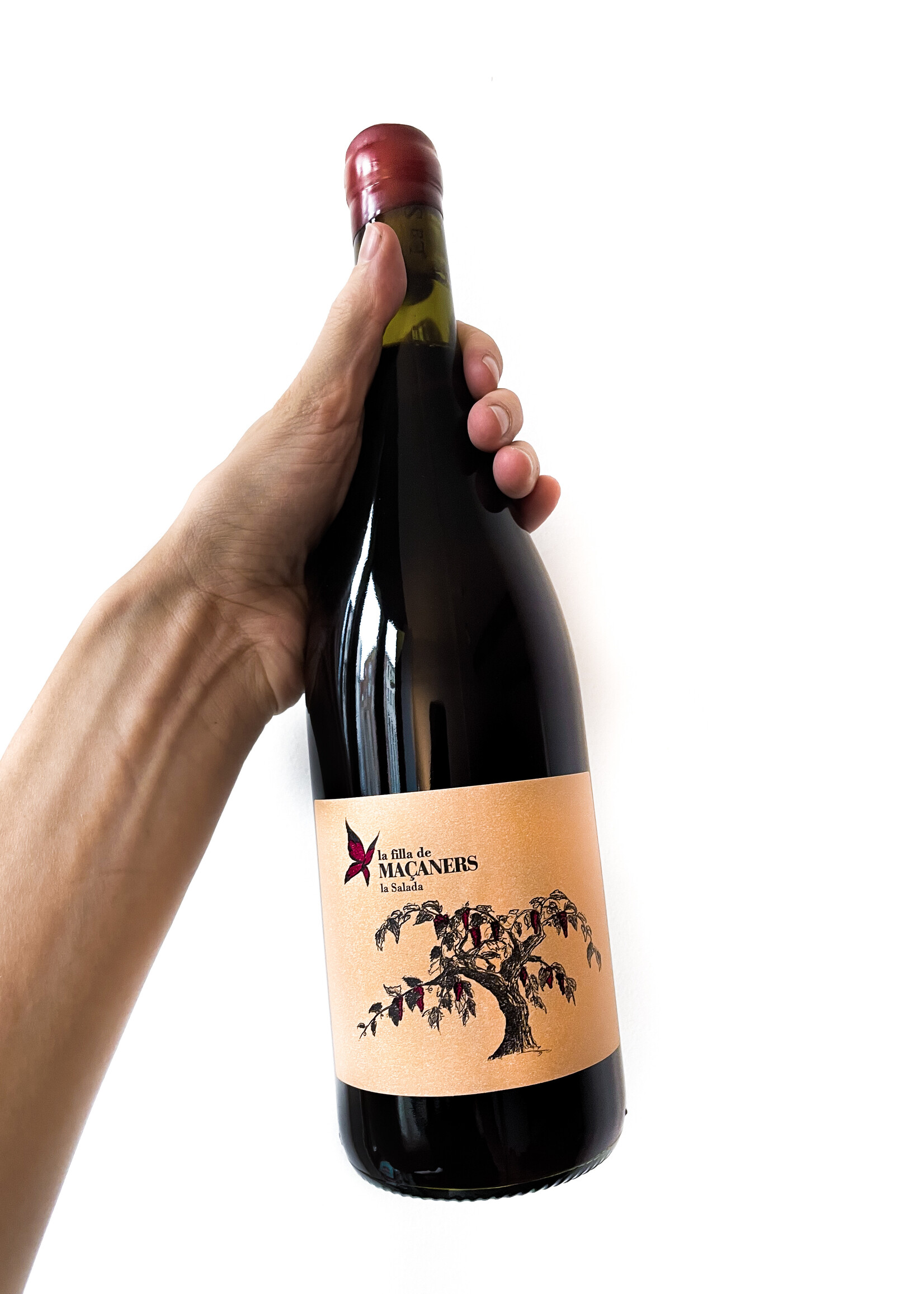 Celler La Salada La Filla de Maçaners - Celler La Salada - 2021