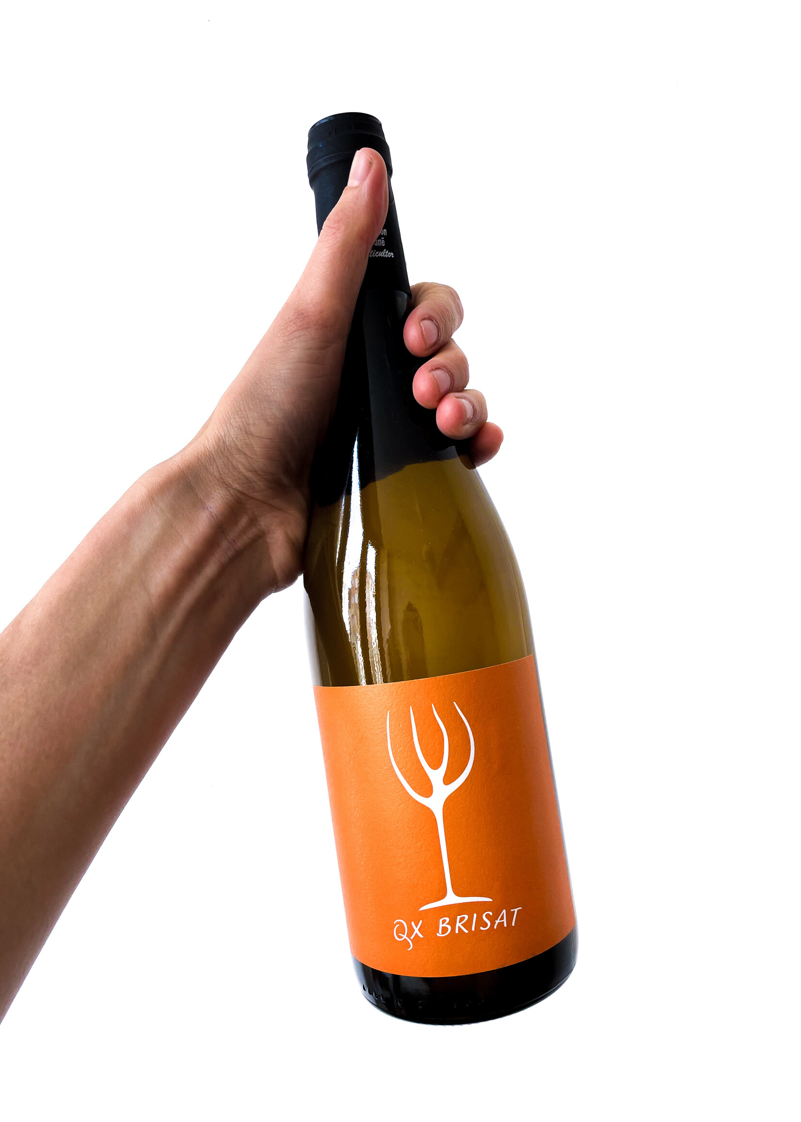 Ramón Jané QX Brisat - Ramón Jané - 2022