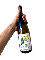 Florian Herzog Grüner Veltliner // laatste stuks in winkel Gent