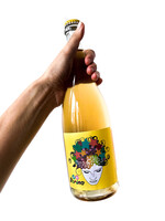 Ramón Jané Uitverkocht