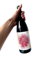 Sette Grignolino