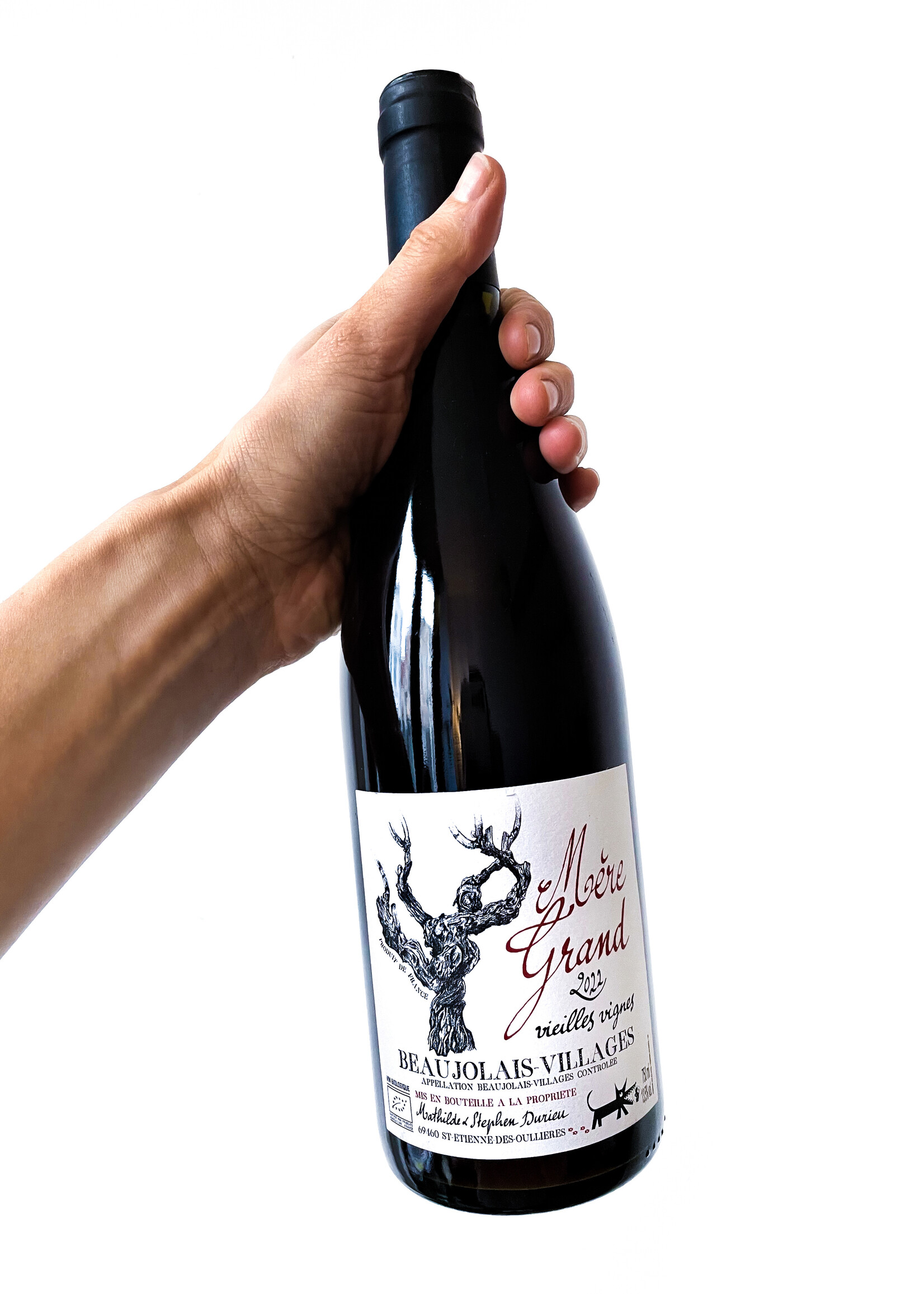 Lou. Y Es-Tu? Mère Grand - Lou. Y Es-Tu ? - 2022