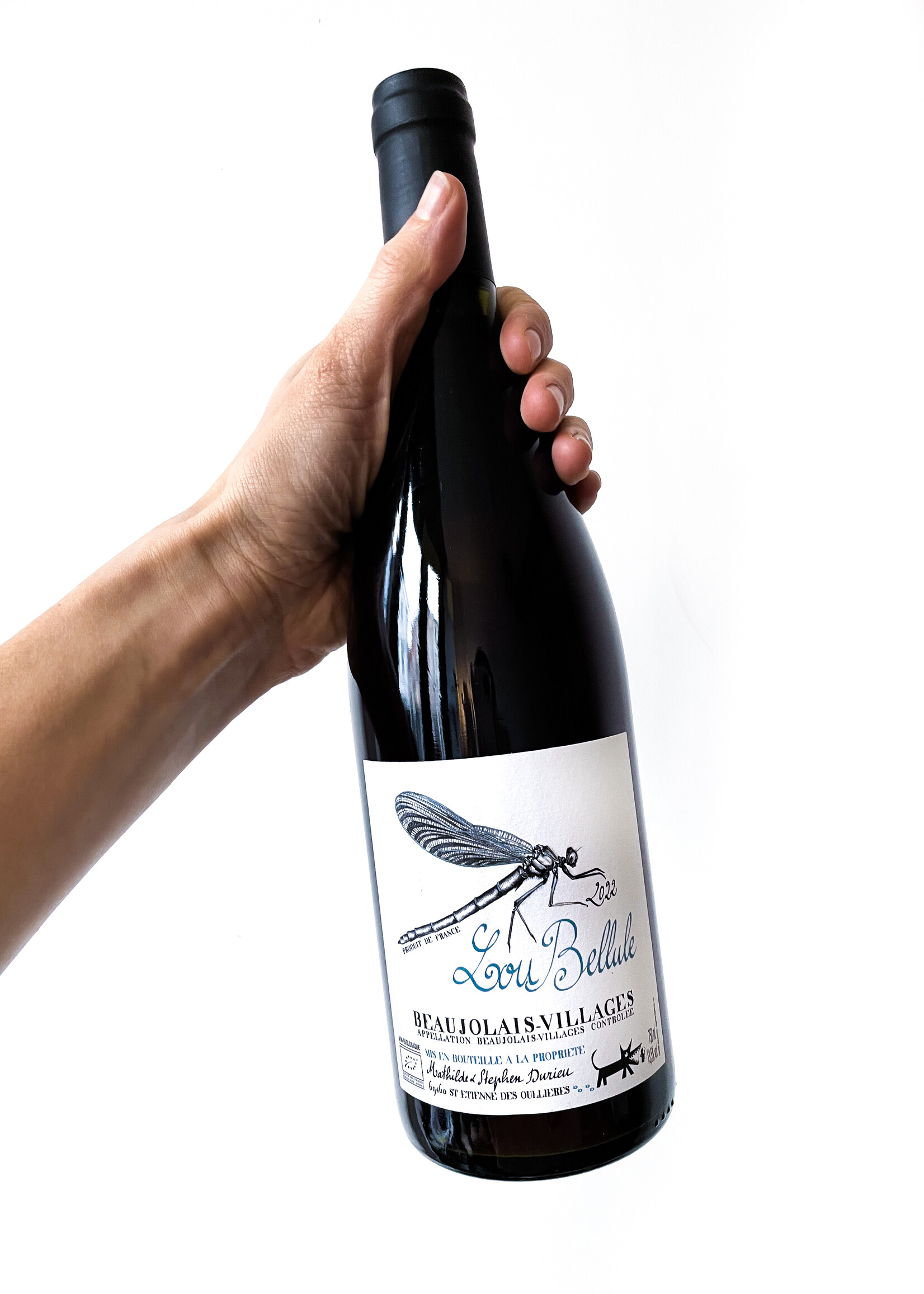 Lou. Y Es-Tu? LouBellule - Lou. Y Es-Tu ? - 2022