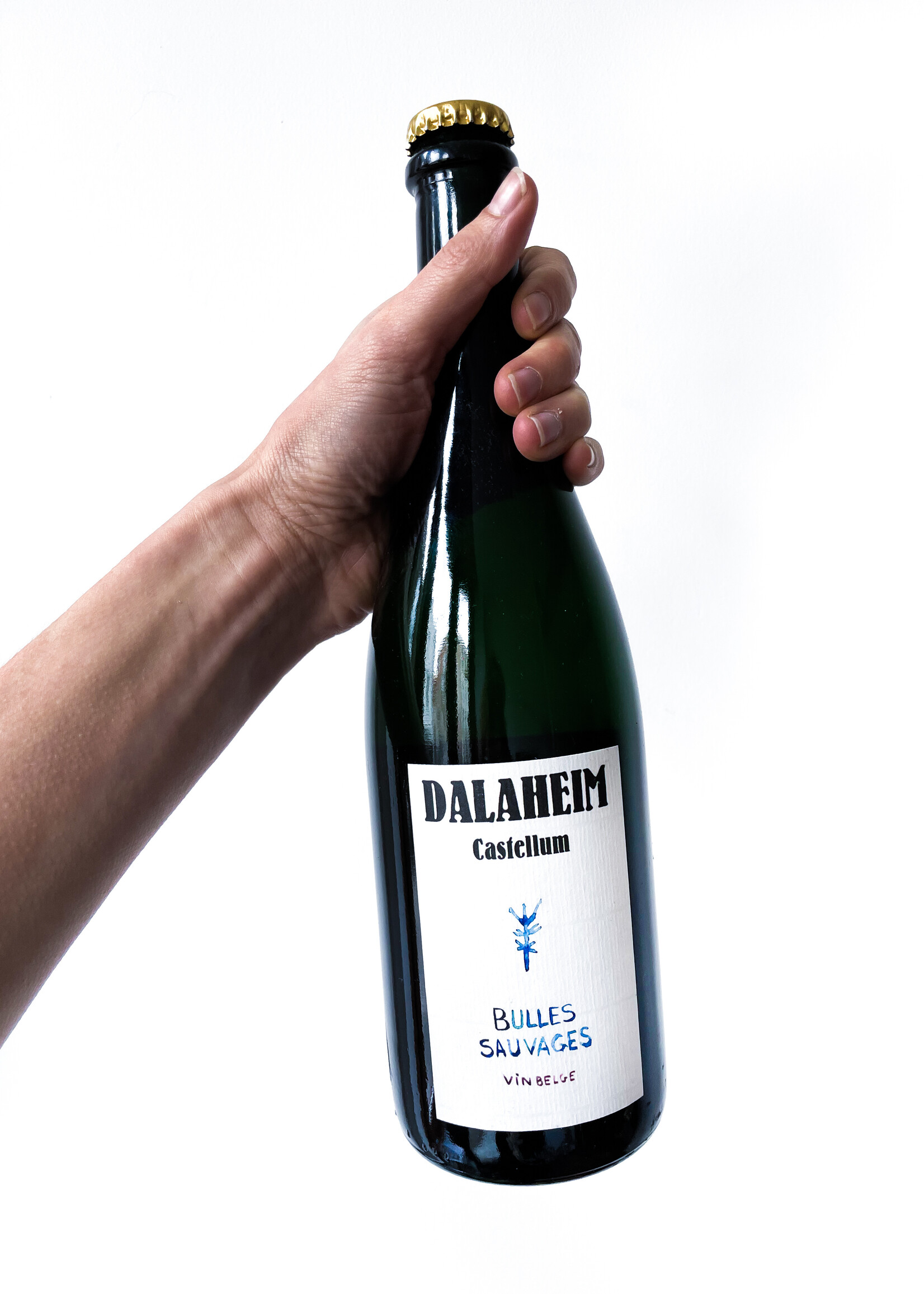 Dalaheim Castellum Bulles Sauvages - Dalaheim Castellum - 2021