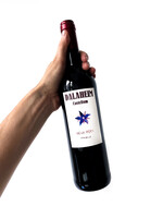 Dalaheim Castellum Neur Pery