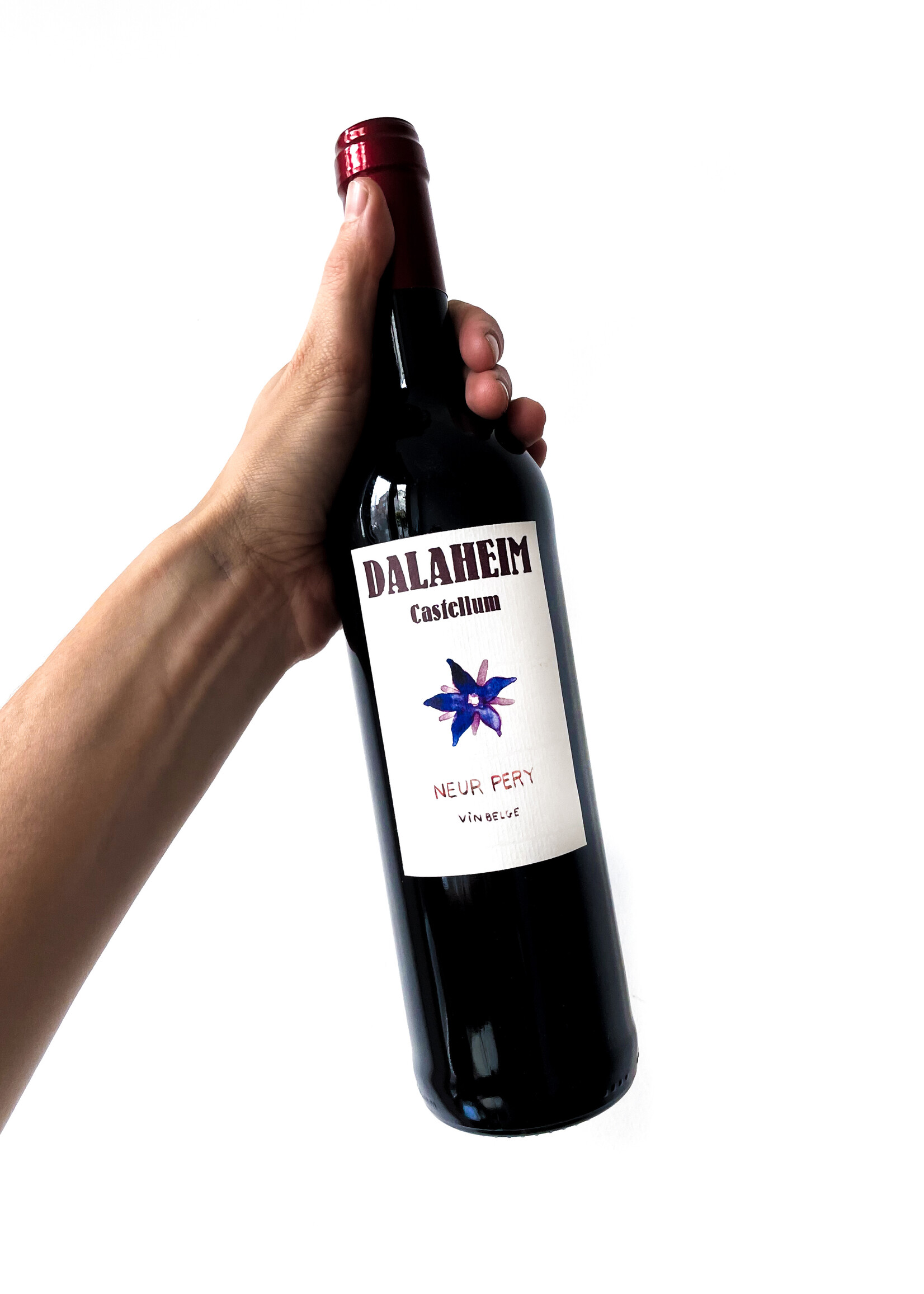 Dalaheim Castellum Neur Pery - Dalaheim Castellum - 2021