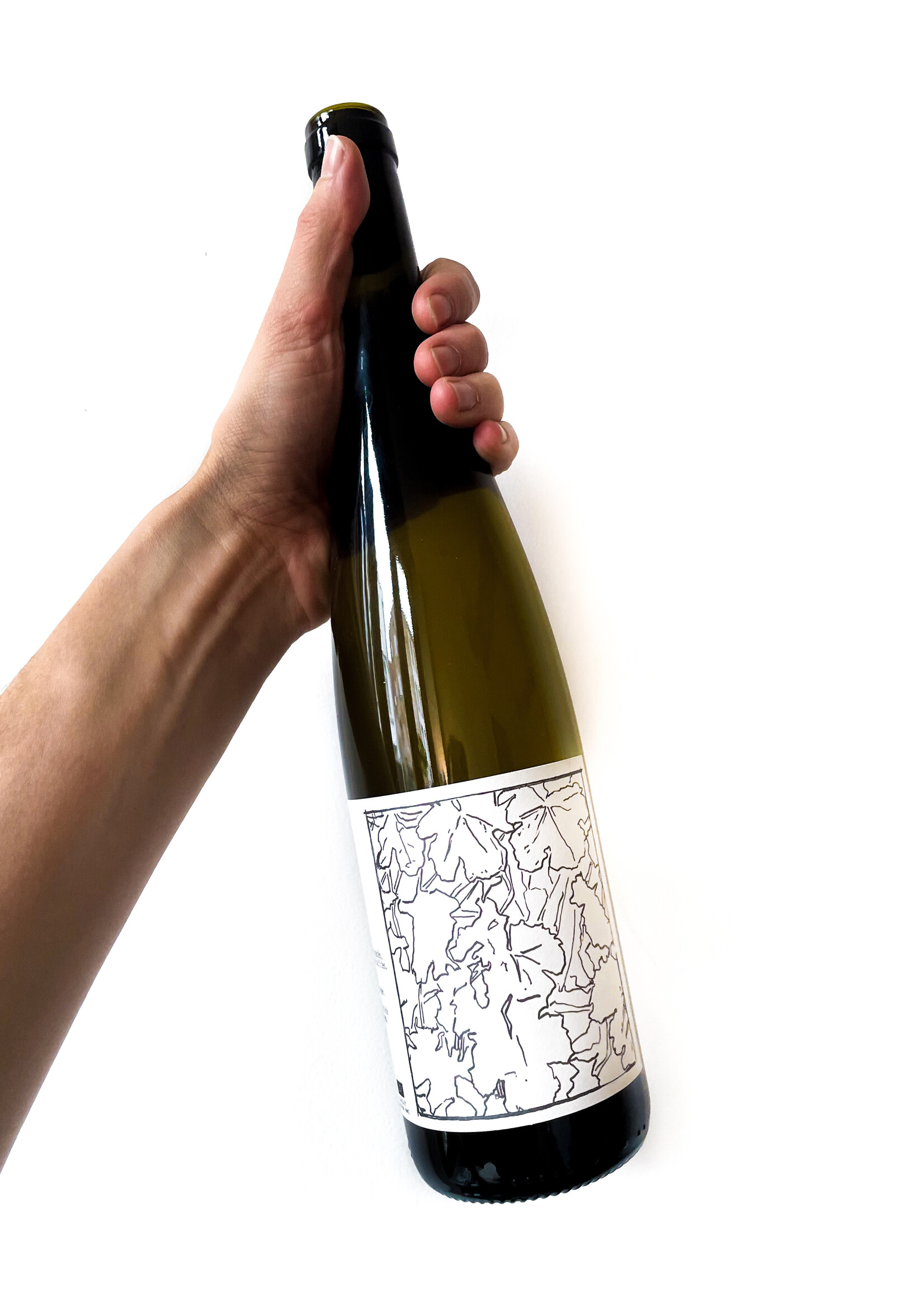 Domaine Goepp Riesling 2022/23 - Domaine Goepp