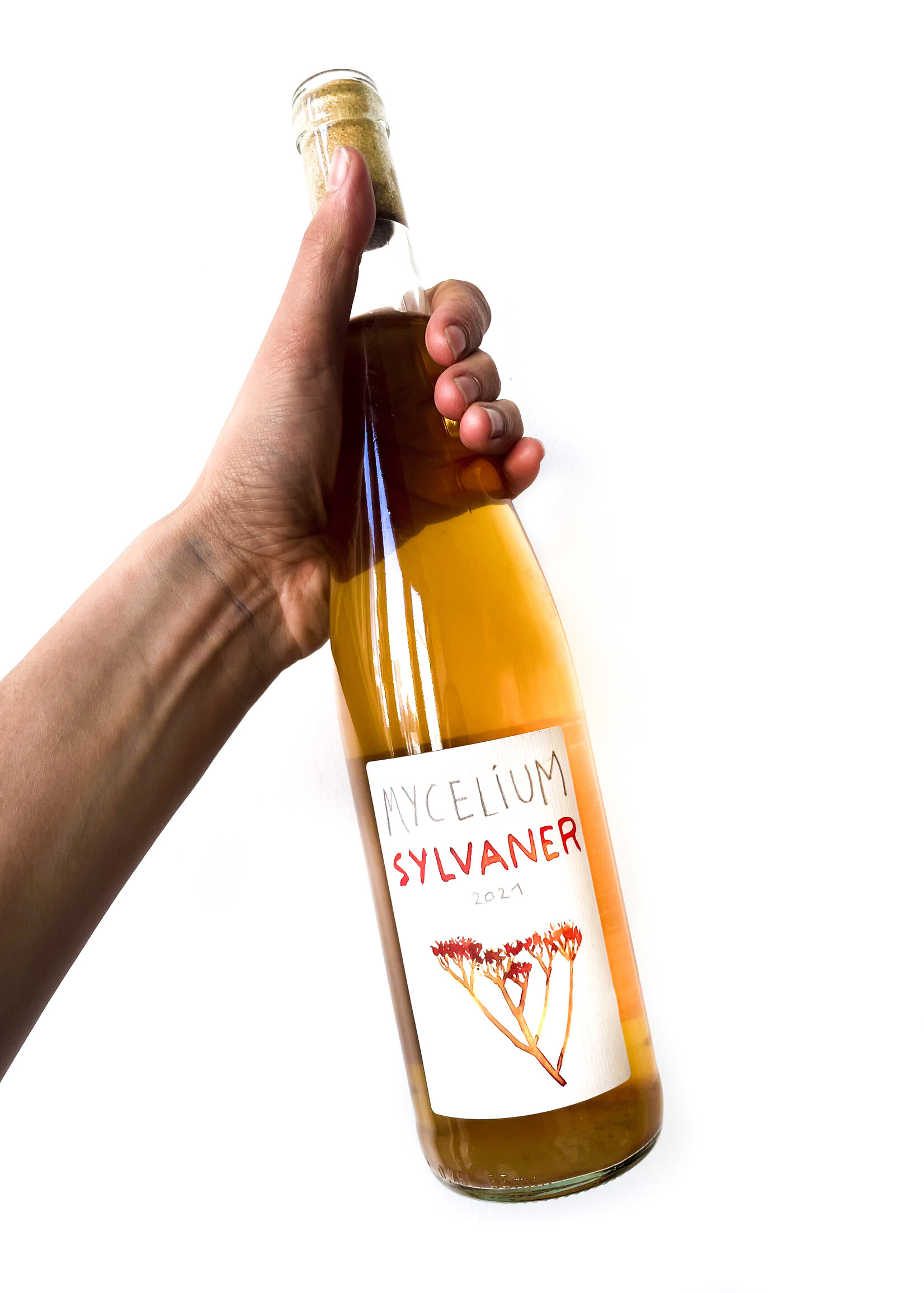 Mycélium Sylvaner - Mycélium - 2021