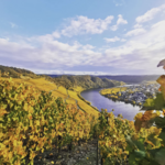 Jan-Philipp Bleeke - Mosel