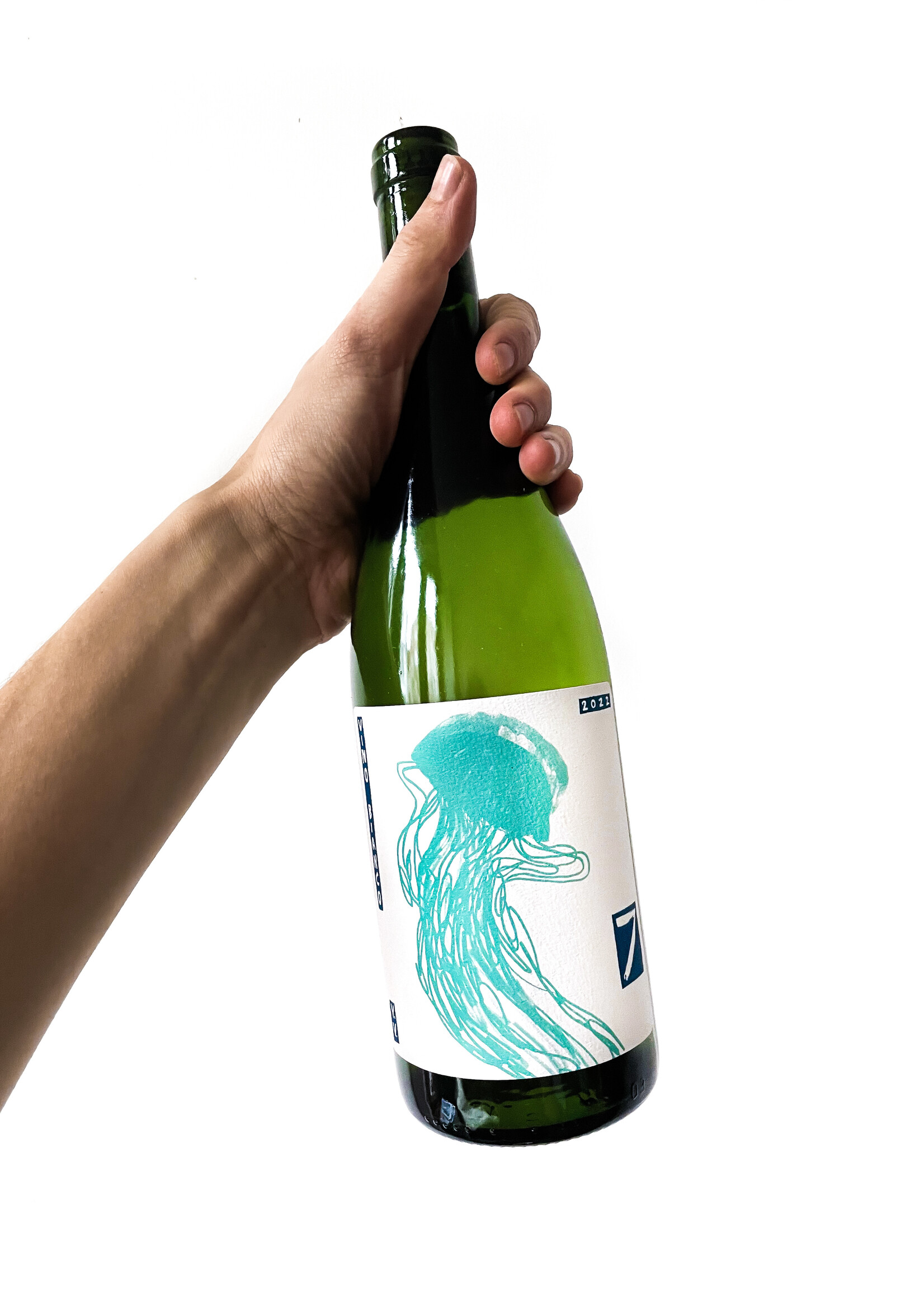 Sette Medusa - Sette - 2024