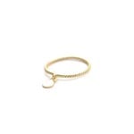 Muja Juma • fijne gouden ring met mini muntje