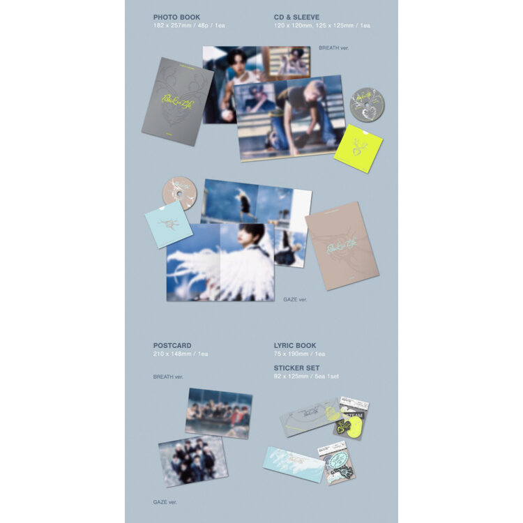 &TEAM (앤팀) - BACK TO LIFE - 1ST MINI ALBUM (KOREAN)