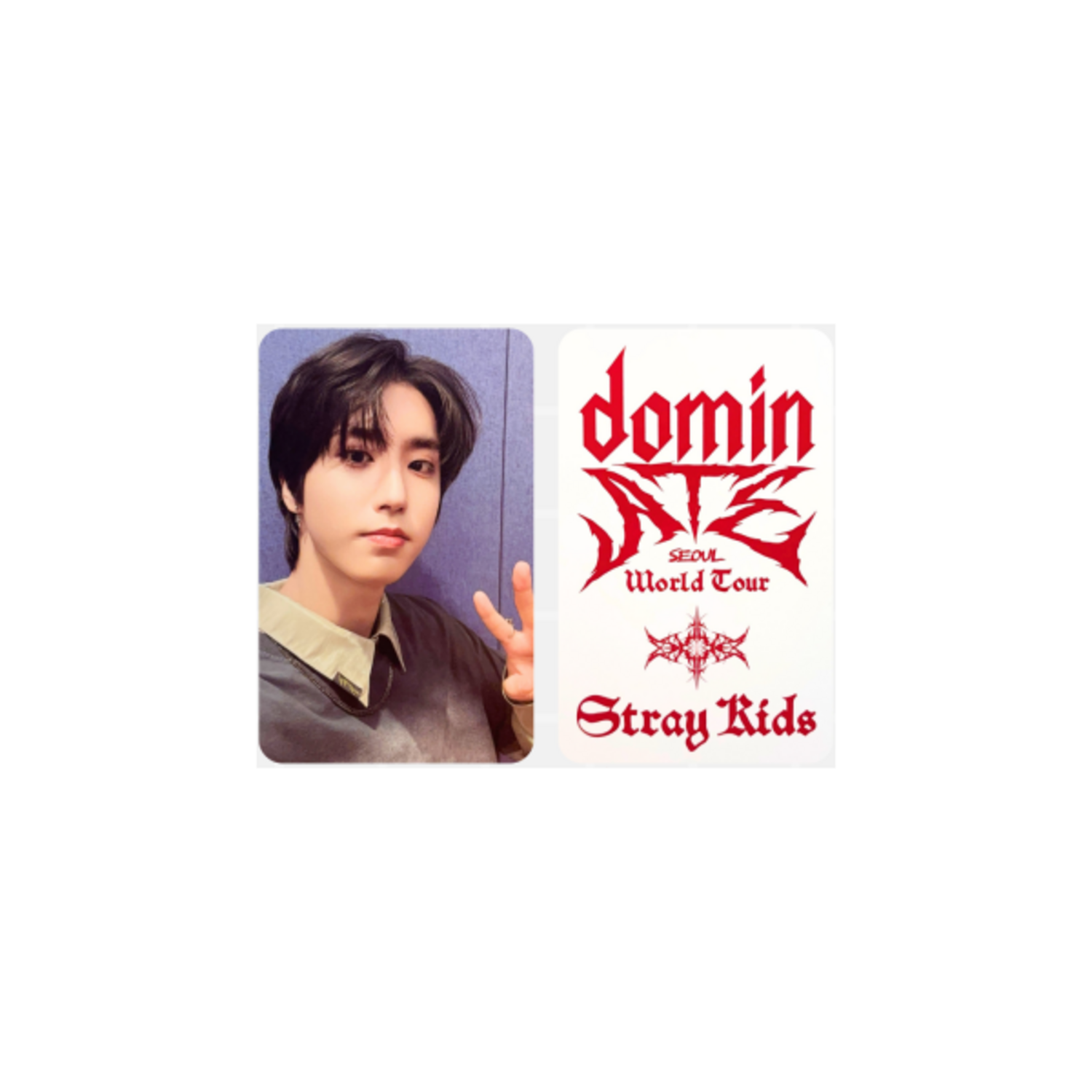 STRAY KIDS OFFICIAL [DOMINATE SEOUL WORLD TOUR] POB PHOTOCARD