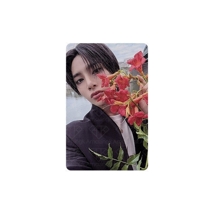 STRAY KIDS (스트레이 키즈) - OFFICIAL [KARMA POP-UP STORE] POB PHOTOCARD