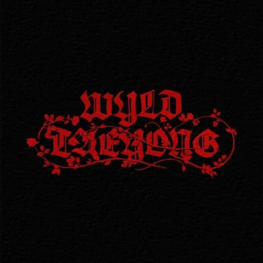 [PREORDER] TAEYONG (이태용) [NCT] - WYLD - [WYLD BOOK VER.] - THE 1ST ALBUM