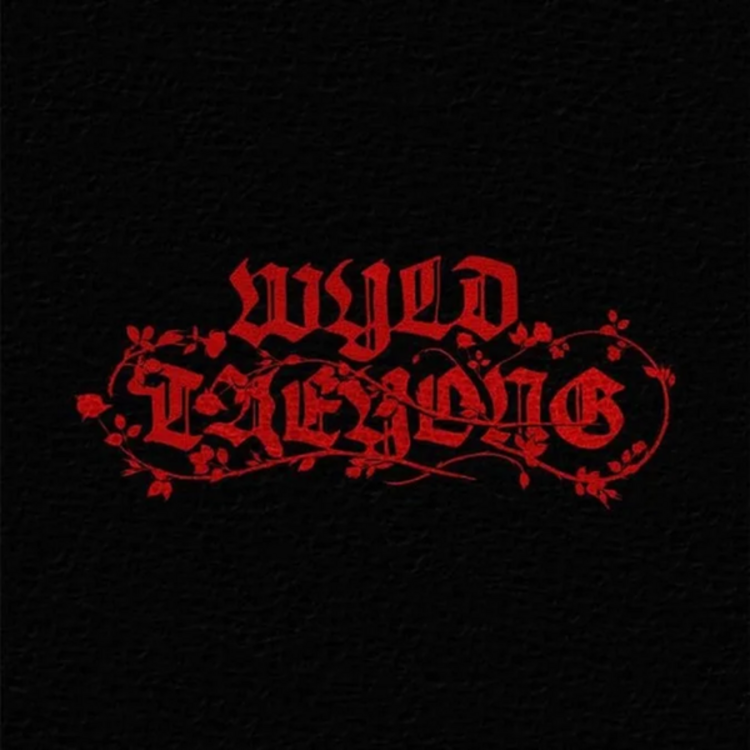 [PREORDER] TAEYONG (이태용) [NCT] - WYLD - [WYLD BOOK VER.] - THE 1ST ALBUM