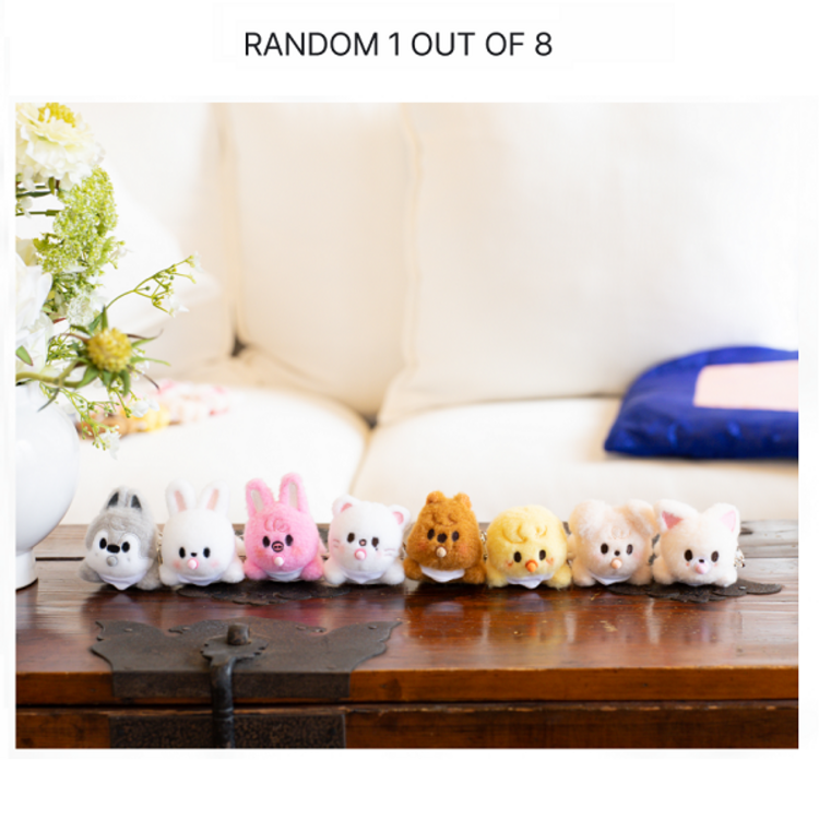 [PREORDER] STRAY KIDS (스트레이 키즈) - [WORLD TOUR "RUN IT SEOUL" MD] SKZOO SECRET WIND-UP PLUSH