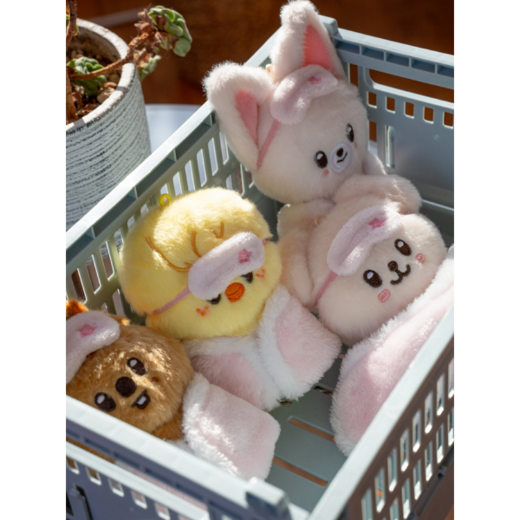 STRAY KIDS (스트레이 키즈) - [6TH FANMEETING : STAY IN OUR LITTLE HOUSE] SKZOO PLUSH 10CM VER.