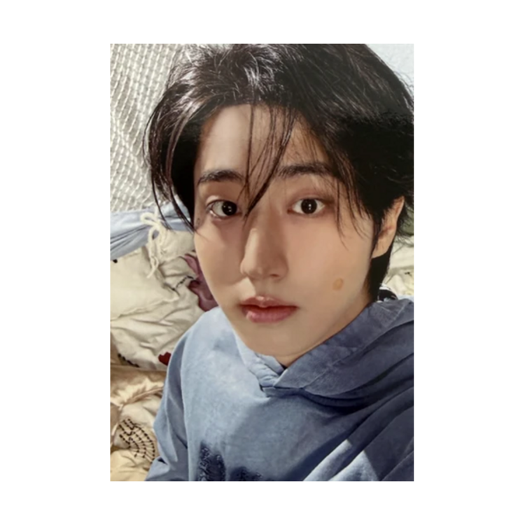 STRAY KIDS (스트레이 키즈) - [6TH FANMEETING : STAY IN OUR LITTLE HOUSE] POB PHOTOCARD