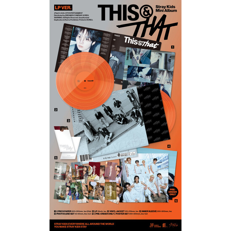 STRAY KIDS (스트레이 키즈) - [THIS & THAT] (LP VER.) - 10TH MINI ALBUM