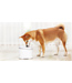 Xiaomi Smart Pet Fountain