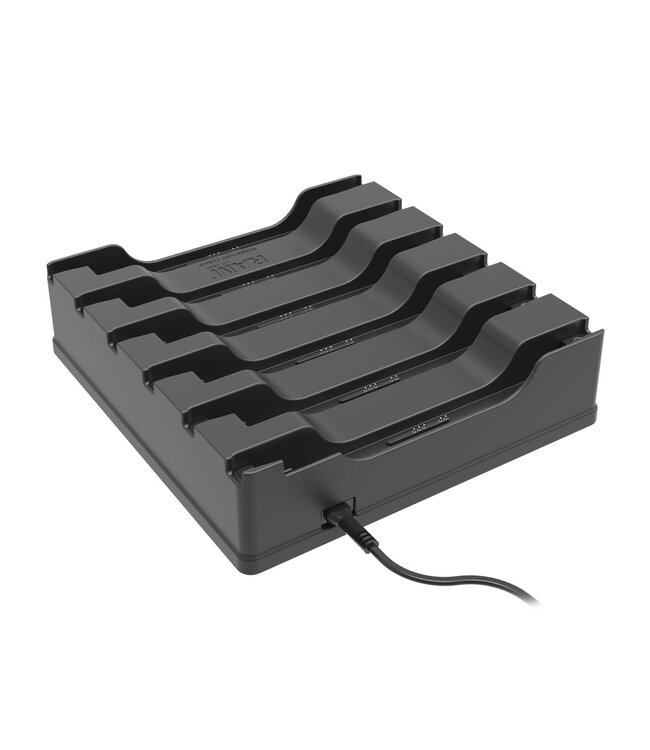 RAM-DOCK-6G8PU