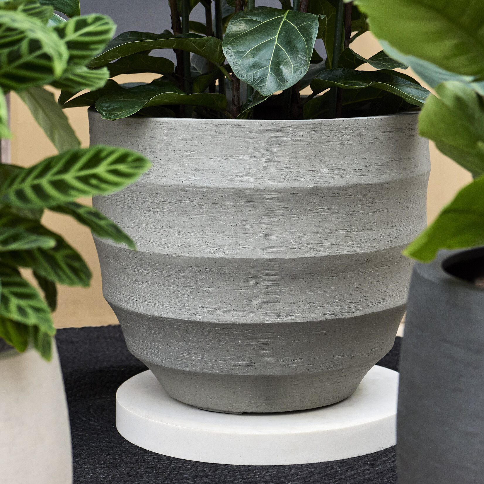 Luca Lifestyle Luca Lifestyle Bordo New Egg Pot 80 - Earth