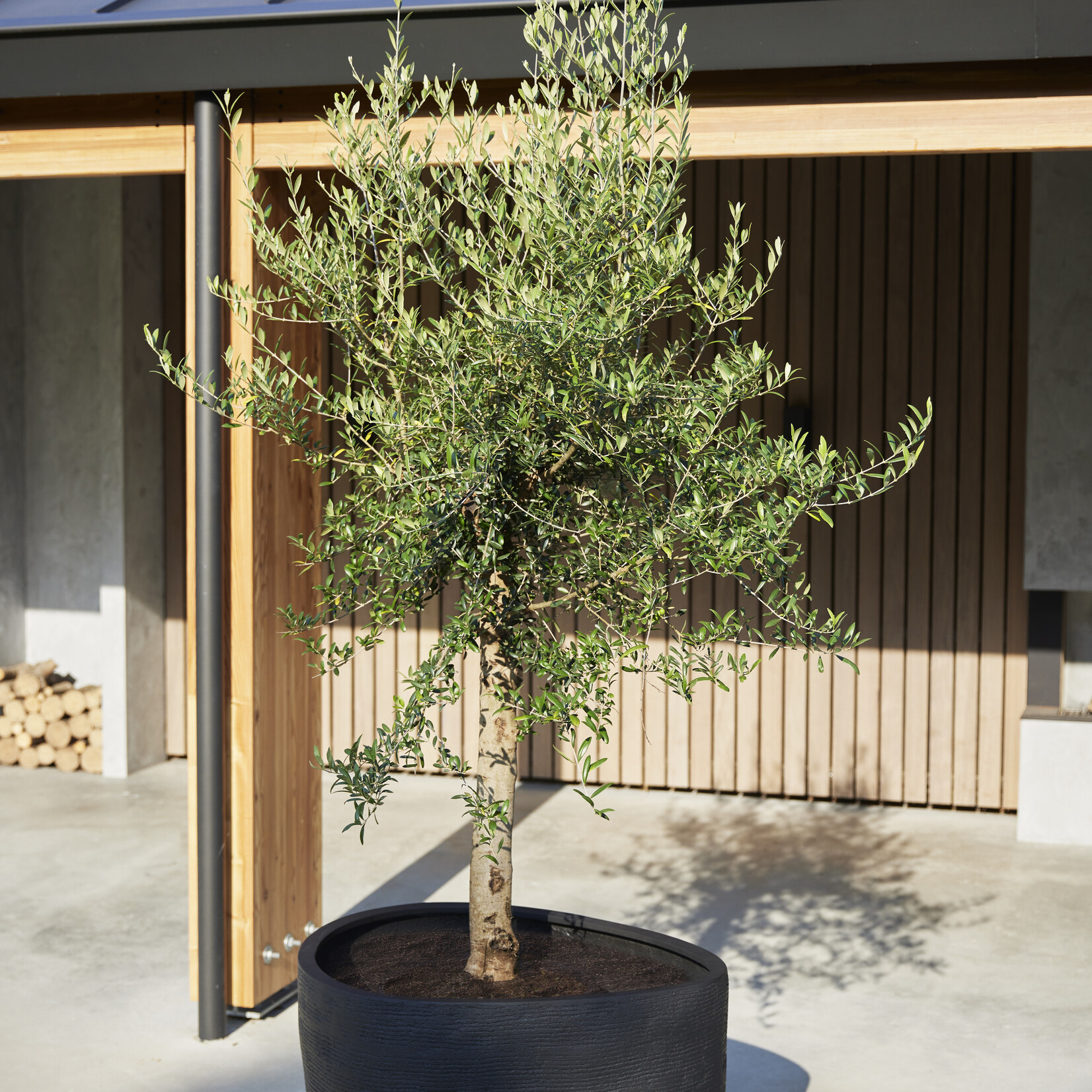 Luca Lifestyle Luca Lifestyle Ruvido Organic 67 - Sand