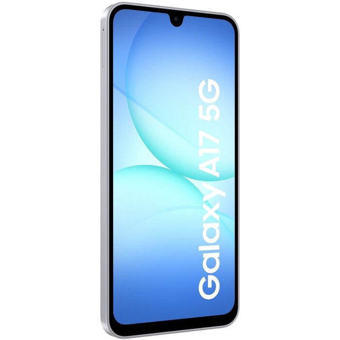 Samsung Galaxy A17 5G Gray 128GB