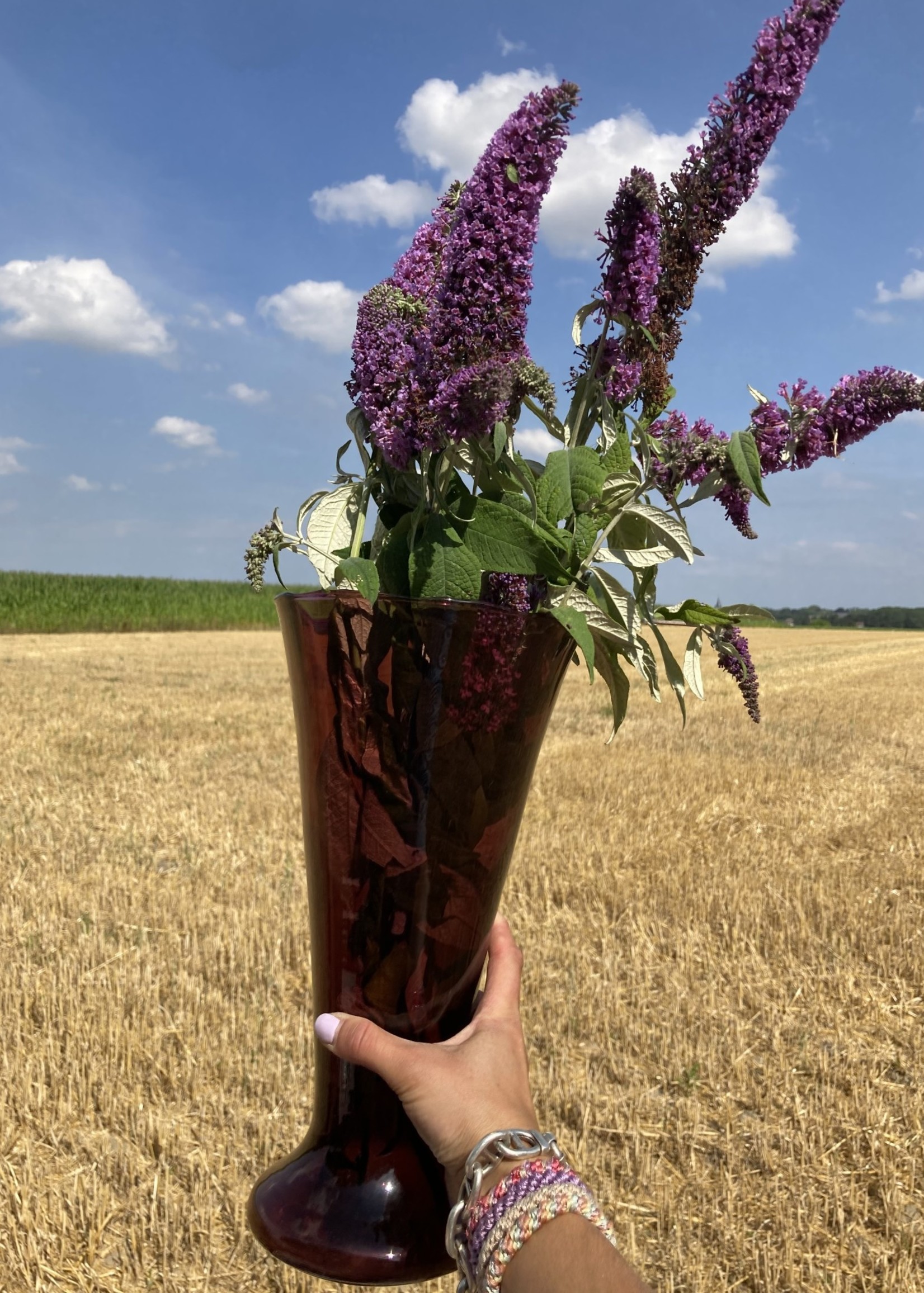 Large Burgundy Doyen Vase by Floralies Liege