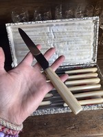 Vintage Box of 12 off white knives