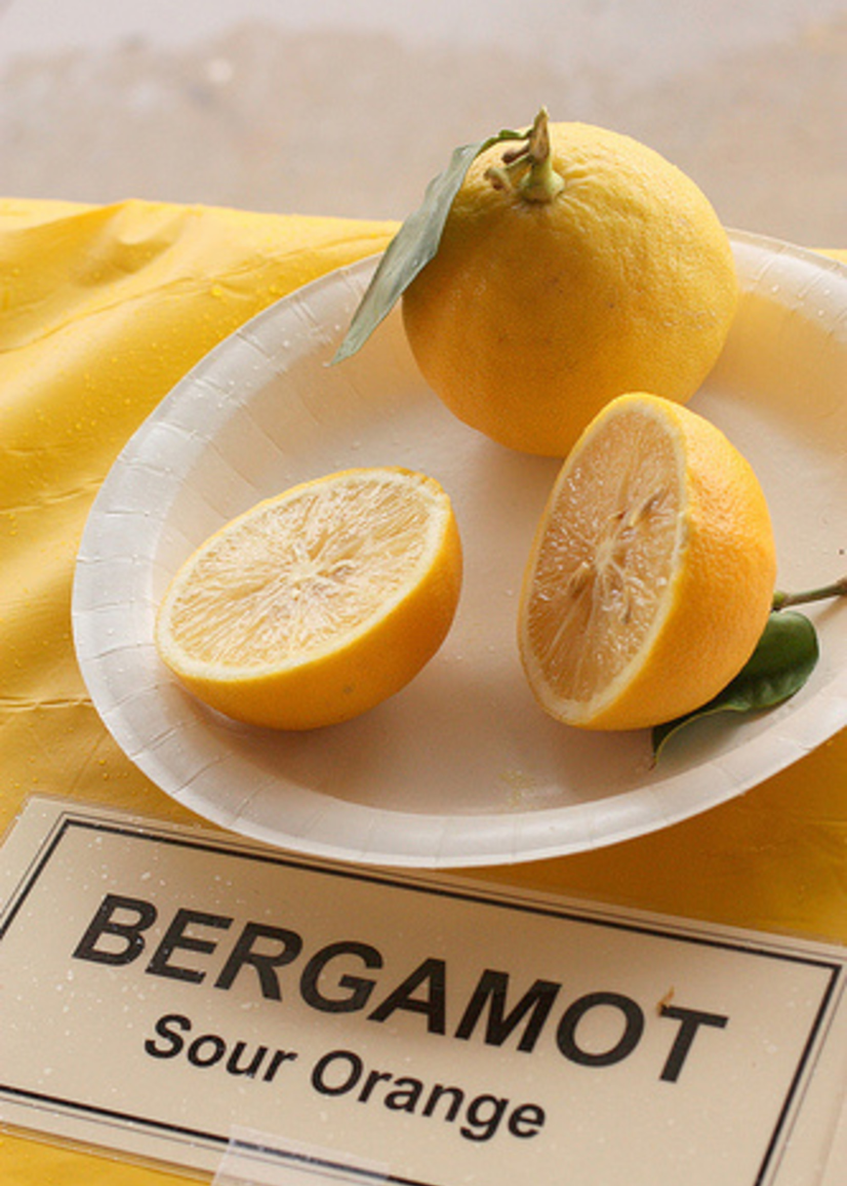 Bergamot Moonme