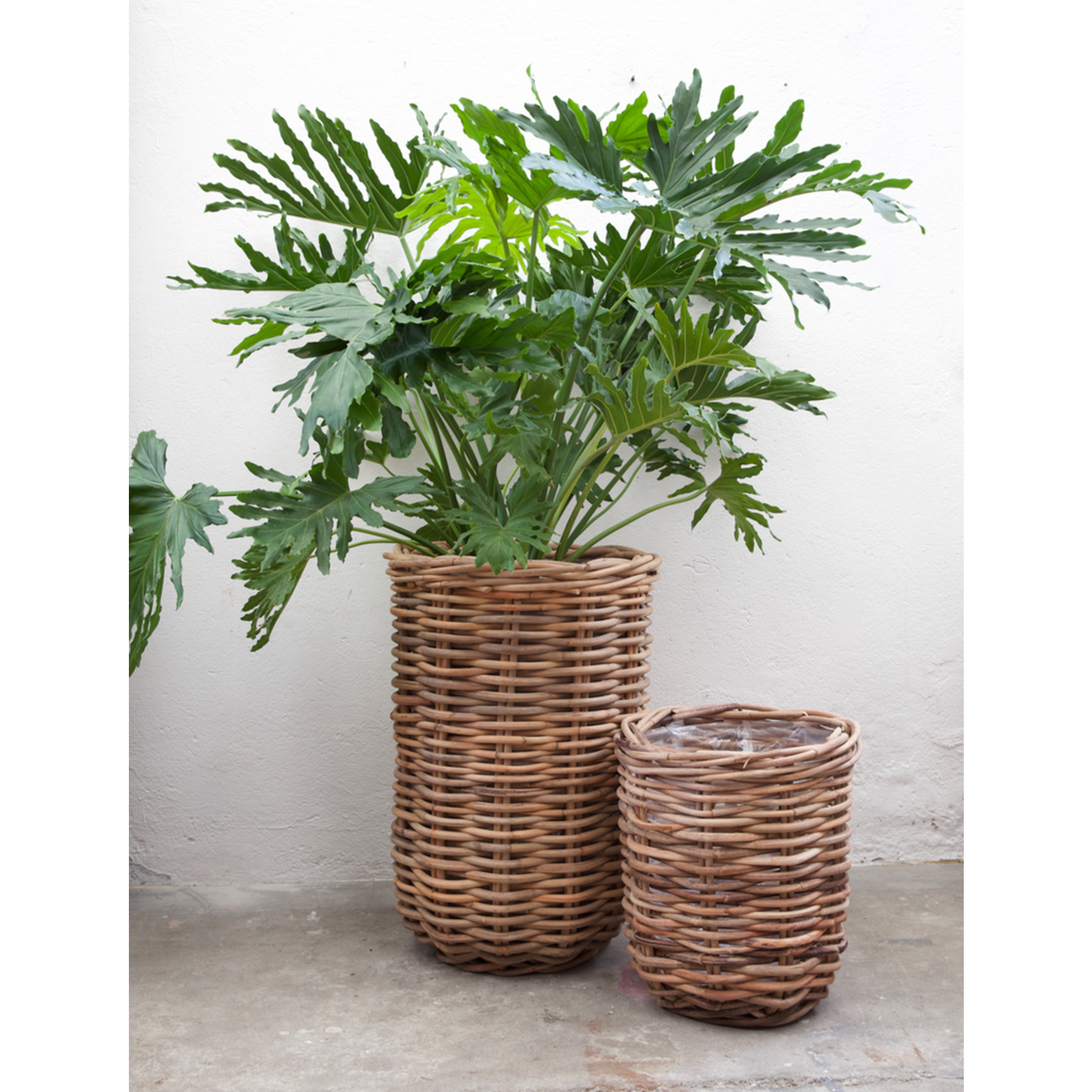 Rattan Korb Val Verde D55xH80cm
