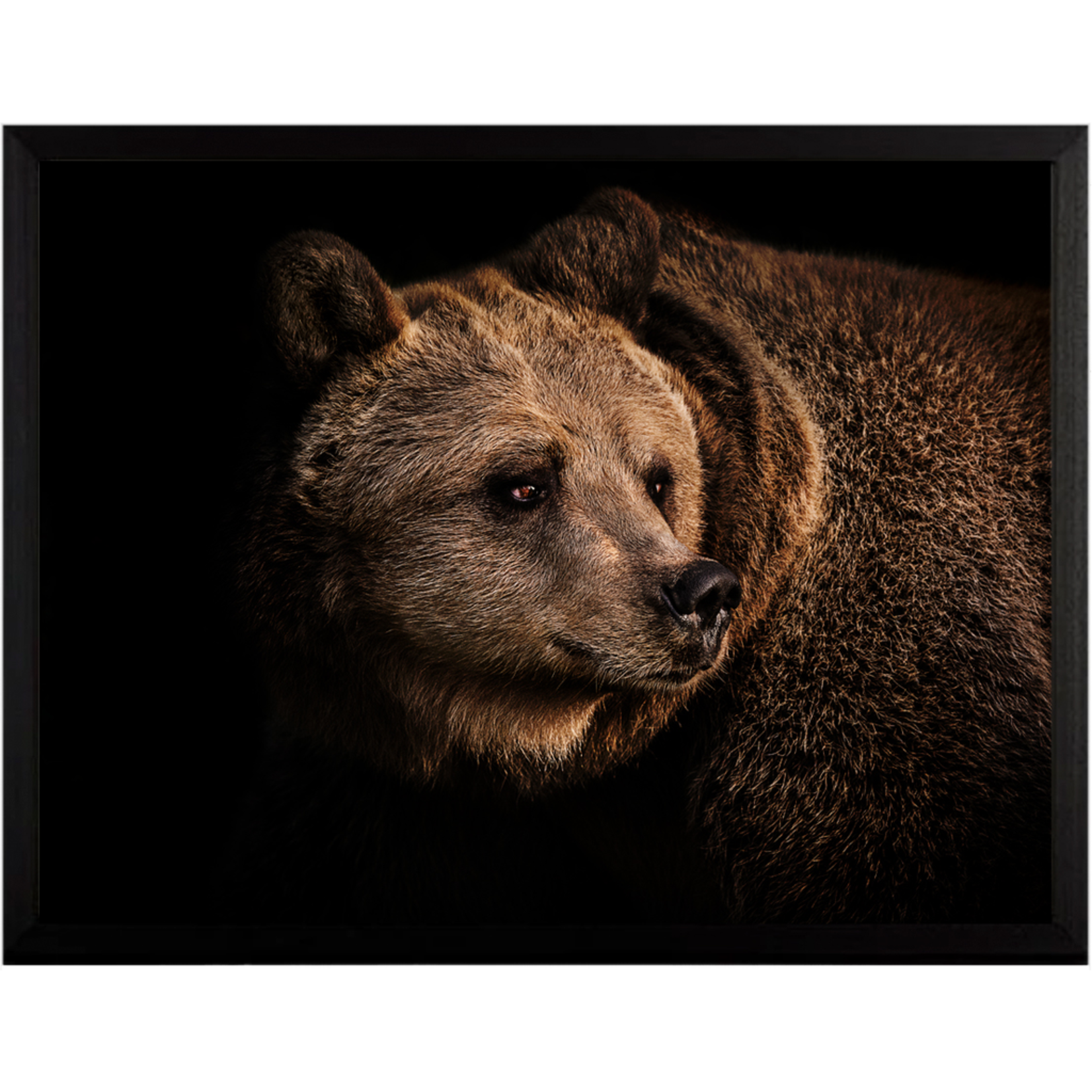 Bild „Bär“ mit Eichenholzrahmen 158x107.5cm