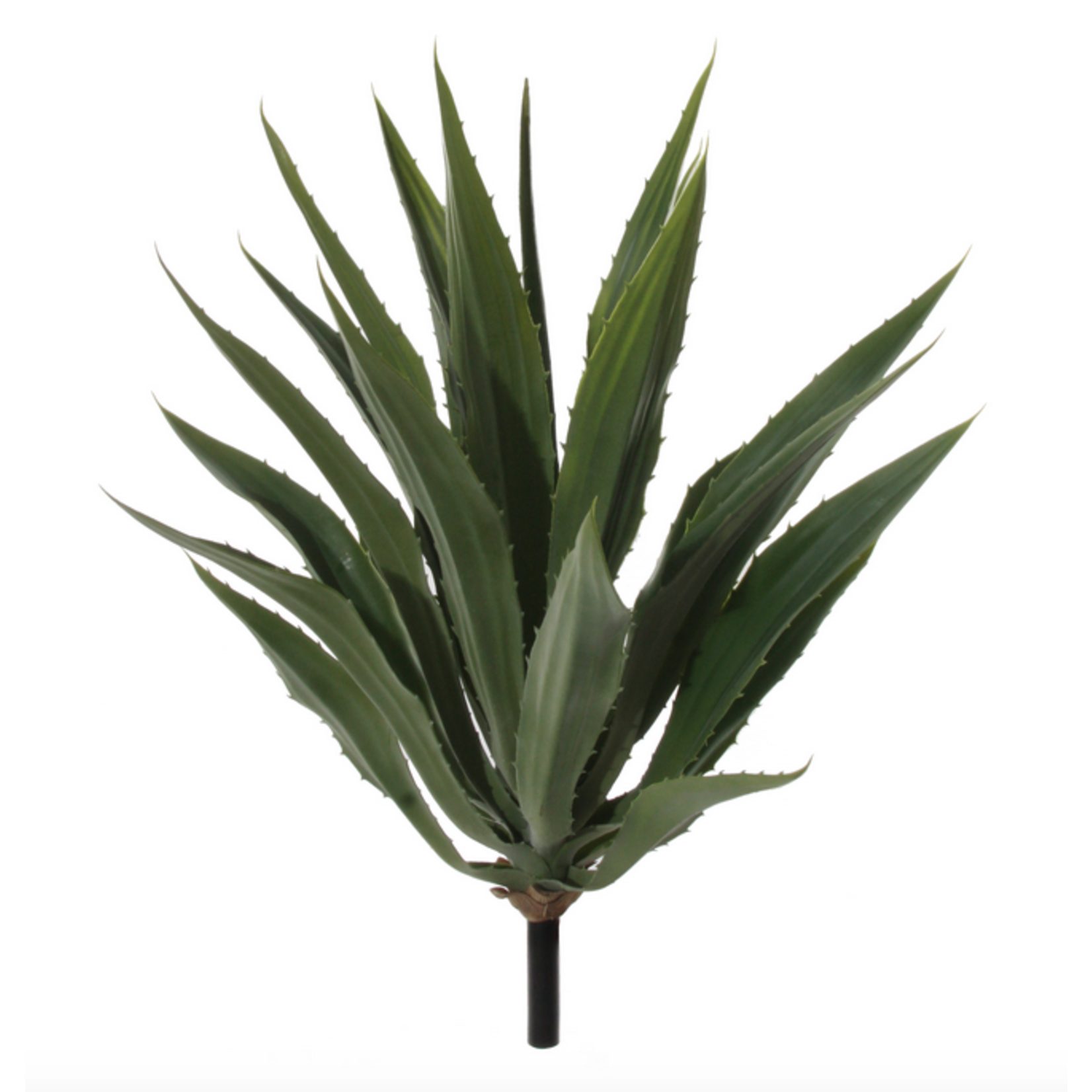 Kunstpflanze Agave Höhe:75cm