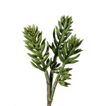 Kunstpflanze Succulent ca. 40cm