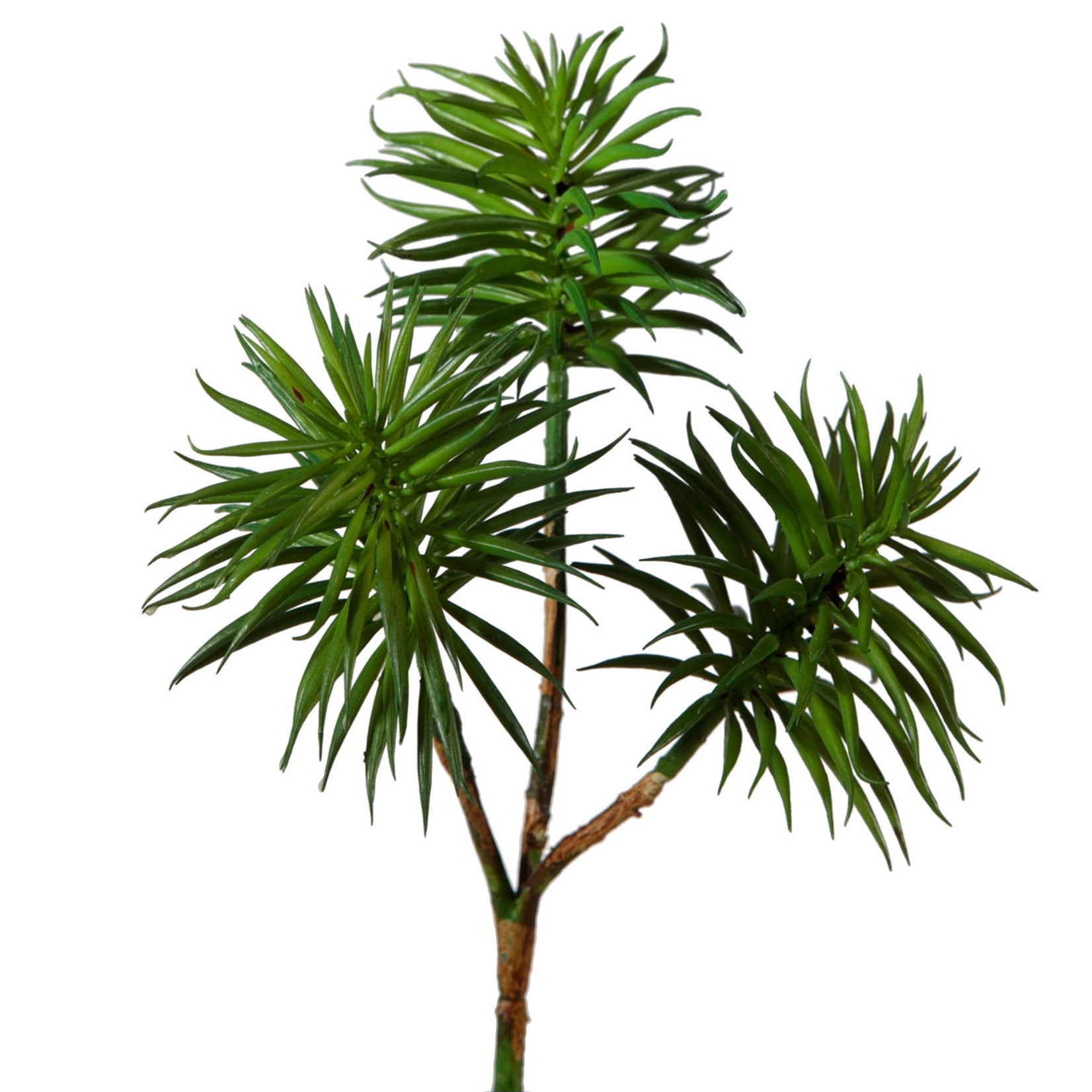 Kunstpflanze Succulente ca. 25cm