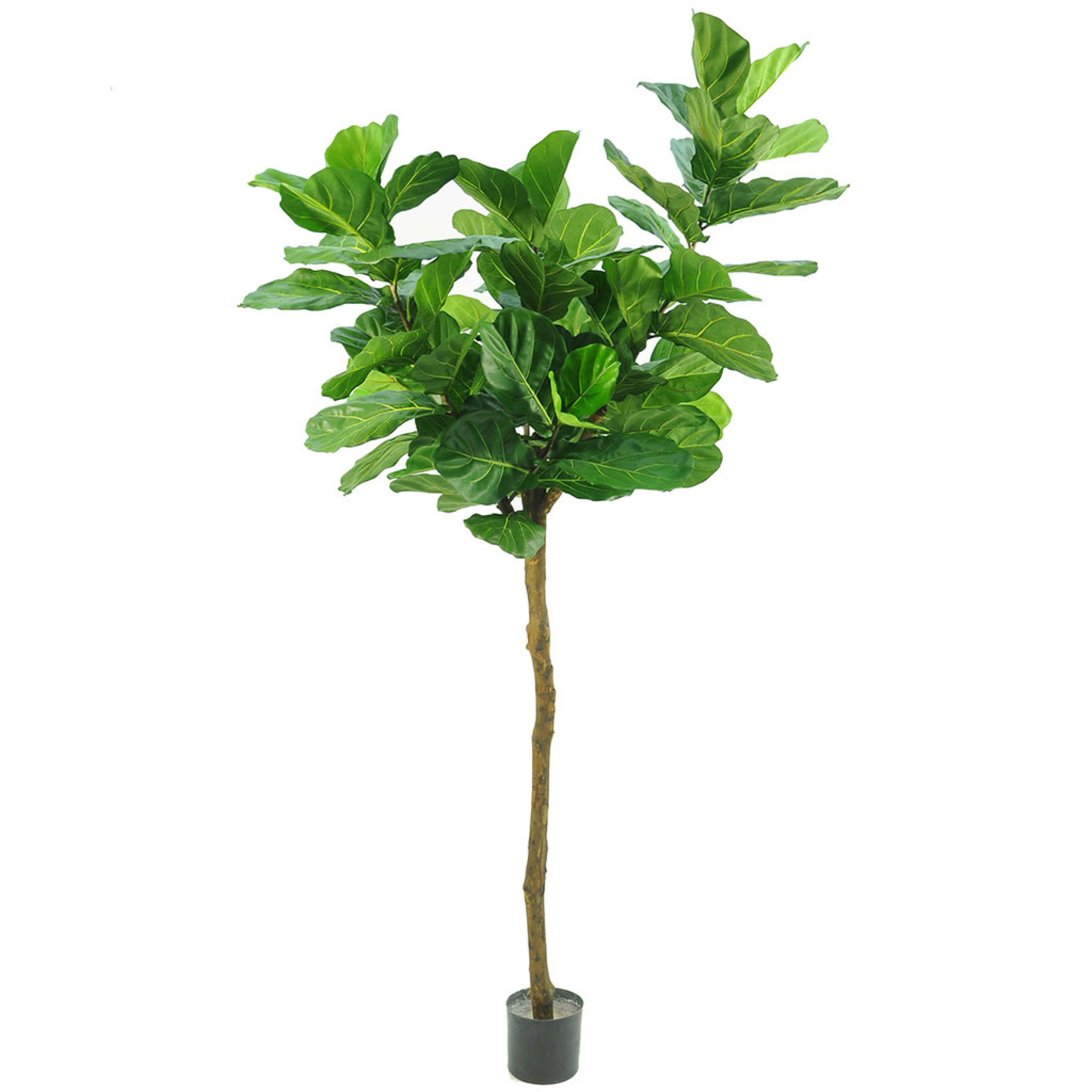 Kunstpflanze Ficus Lyrata H180-210cm