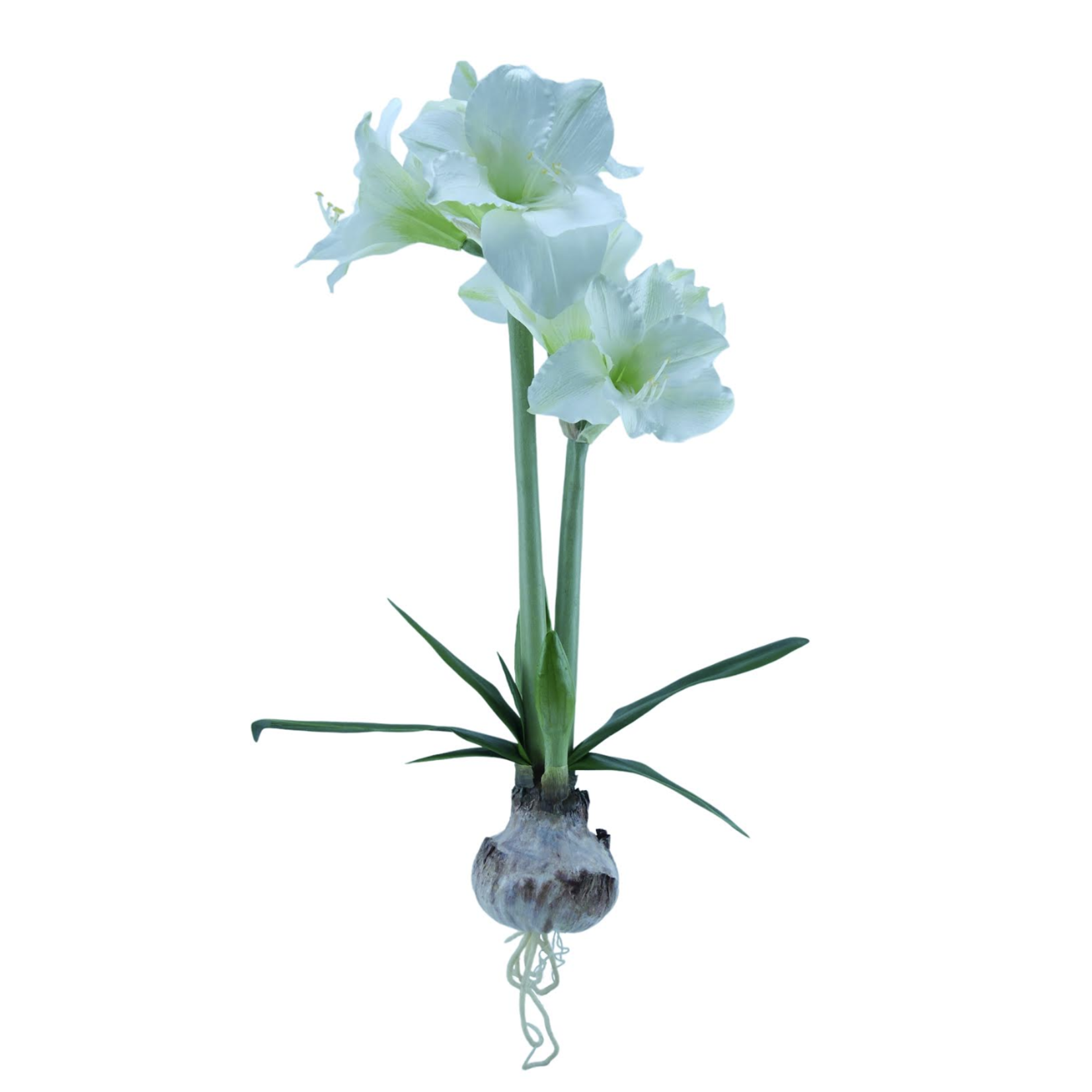 Kunstpflanze 2er Amaryllis weiss, mit Zwiebel ca. 76 cm