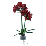 Kunstpflanze 2er Amaryllis rot, mit Zwiebel ca. 76 cm