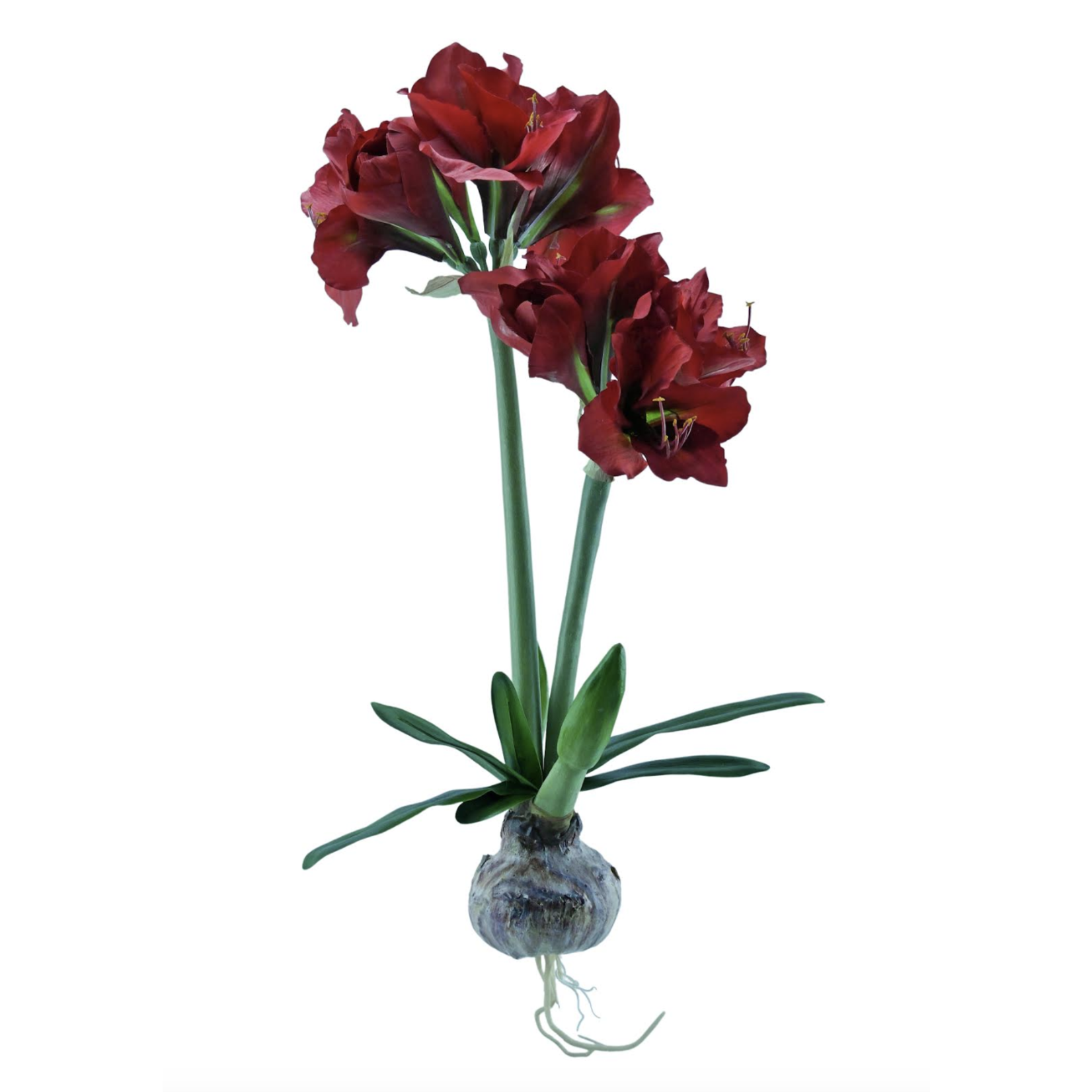 Kunstpflanze 2er Amaryllis rot, mit Zwiebel ca. 76 cm
