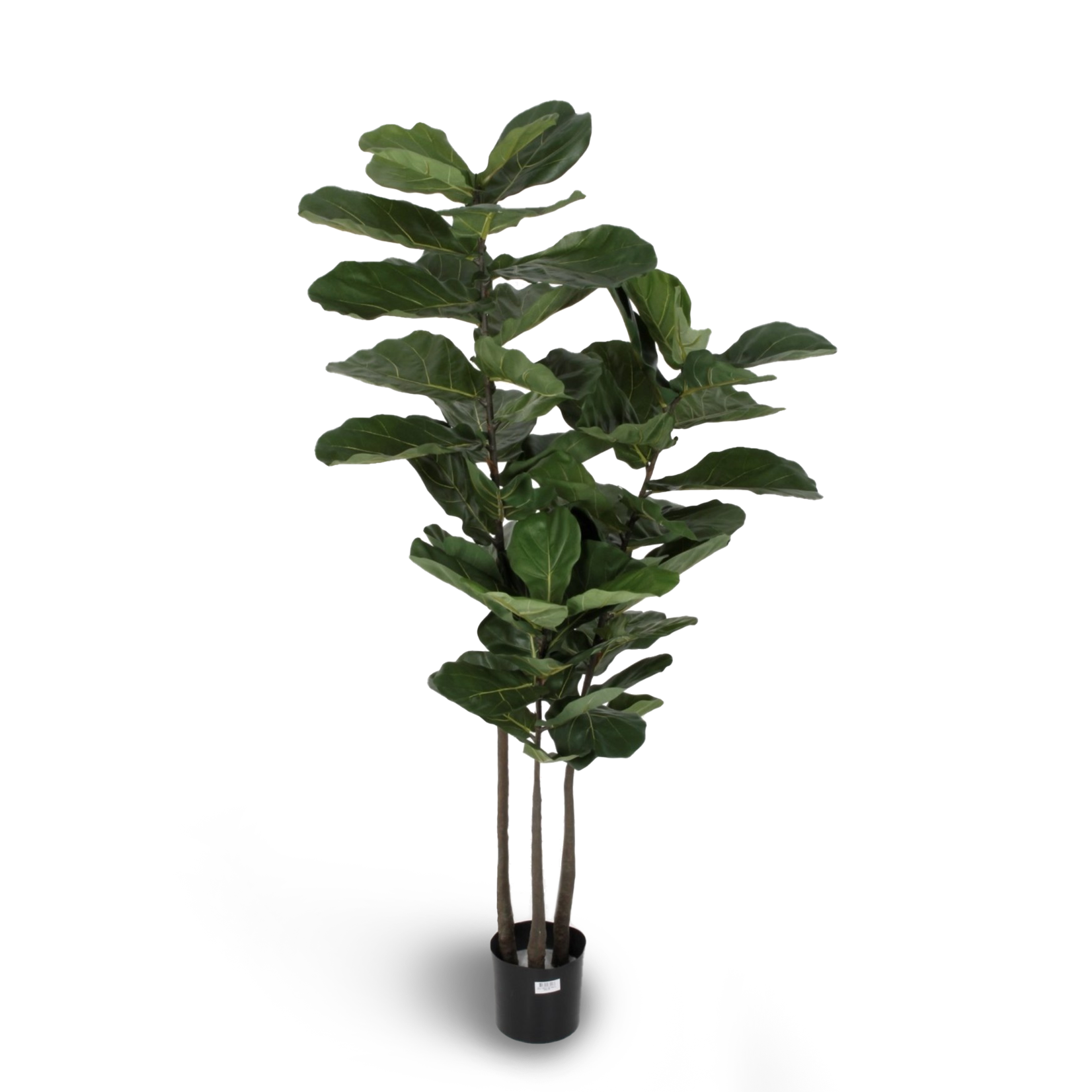 Kunstpflanze Ficus Lyrata ca. 180cm