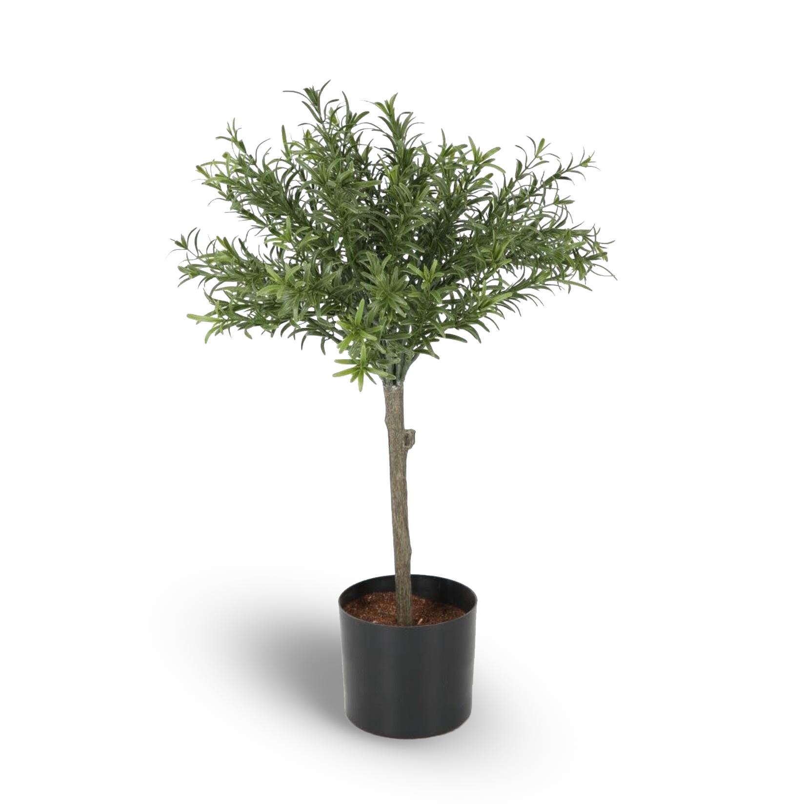 Kunstpflanze Rosmarin 52cm - Spectroom living and more GmbH