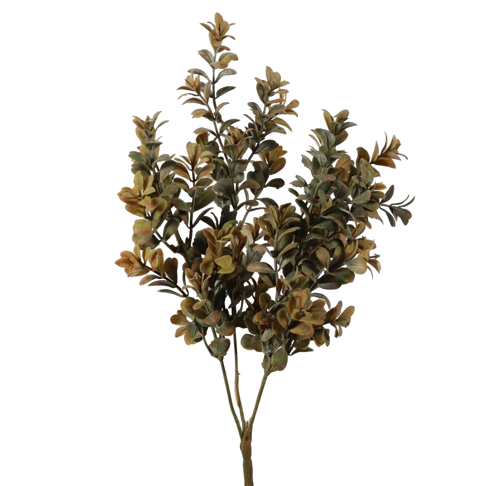 Kunstpflanze Buchs grün, ca. 41cm